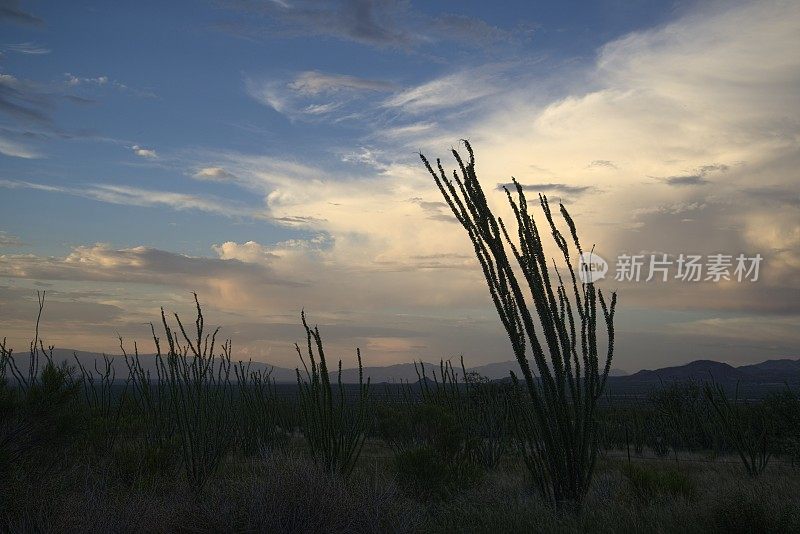 马德拉峡谷日落 - 六